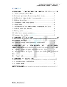 Pachete de aplicații pentru PC-uri - proiect Excel - Pagina 3