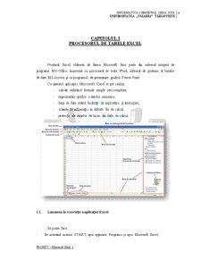 Pachete de aplicații pentru PC-uri - proiect Excel - Pagina 4