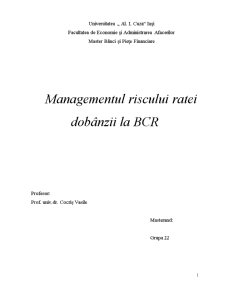 Managementul Riscului Ratei Dobânzii la BCR - Pagina 1