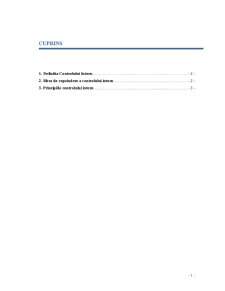 Obiectivele și Principiile Fundamentale ale Controlului Intern - Pagina 2