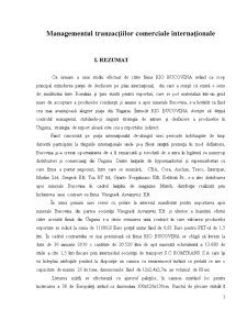 Bucovina - internaționalizarea firmei - Pagina 5
