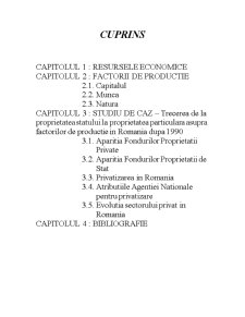 Resursele și factorii de producție - Pagina 2