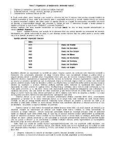 Organizarea și Funcționarea Sistemului Bancar - Pagina 1