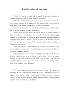 Irisul - Pagina 5