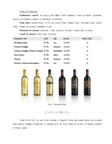 Caracterizarea pieței vinurilor - Cramele Recaș - Pagina 3