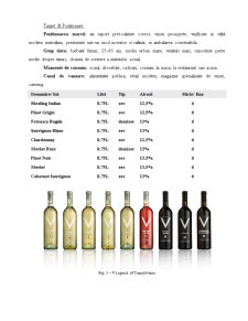 Caracterizarea pieței vinurilor - Cramele Recaș - Pagina 5