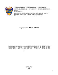 Diagnosticul și Strategiile Firmei - Pagina 1