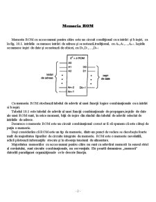 Memorii Semiconductoare - Pagina 2