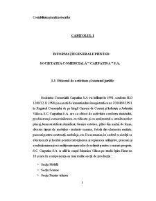 Contabilitatea și analiza stocurilor - studiu de caz la SC Carpatina SA - Pagina 4