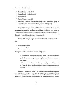 Contabilitatea și analiza stocurilor - studiu de caz la SC Carpatina SA - Pagina 5