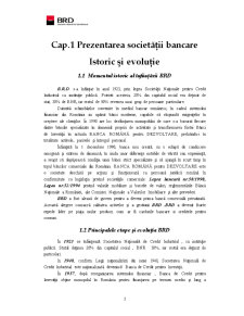 Studiu monografic - BRD GSG Agenția Mircea cel Bătrân Iași - Pagina 3