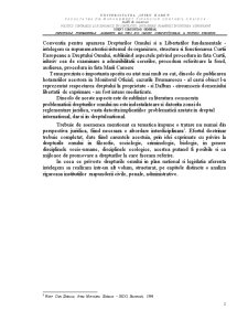 Drepturile fundamentale - elemente ale unei noi ordini constituționale a Uniunii Europene - Pagina 2