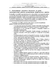 Drepturile fundamentale - elemente ale unei noi ordini constituționale a Uniunii Europene - Pagina 5