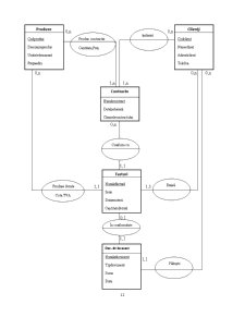 Proiectarea unui Sistem Informatic - Pagina 1