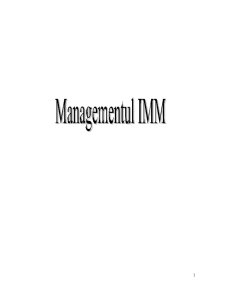Management IMM - Pagina 1