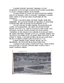 Câmpulung Mușcel - istoric și relief - Pagina 4