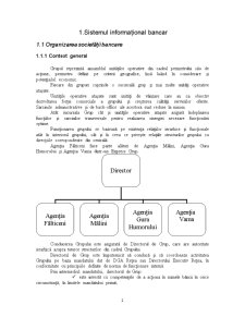 Caiet Practică BRD Agenția Fălticeni - Pagina 3