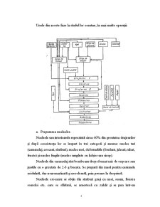 Tehnologia Fabricării Drajeurilor - Pagina 3