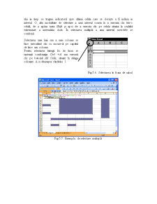 Elemente Introductive în Excel - Pagina 5
