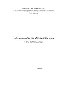 Protecționismul tarifar al Uniunii Europene - tarif extern comun - Pagina 2