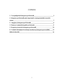 Rolul și Importanța Programelor și Metodelor de Integrare Profesională - Pagina 2