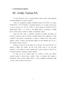 Analiză economico-financiară - plan de afaceri SC Goldy Turism SA - Pagina 3