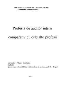 Profesia de Auditor Intern Comparativ cu Celelalte Profesii Contabile - Pagina 1