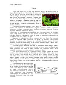 Analiza merceologică a vinului studiu pe Lacrima lui Ovidiu - Pagina 2