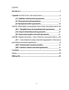 Organizarea structurală și principiile elaborării structurilor organizatorice - Pagina 2