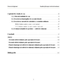 Studiul Eficienței Coliviei de Rulment - Pagina 3