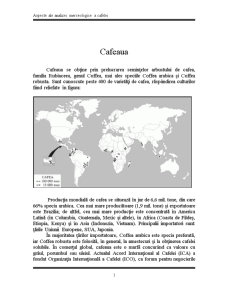 Analiza Merceologica a Cafelei - Pagina 2