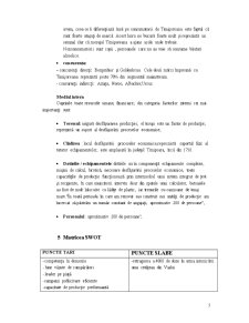 Tehnici promoționale - Timișoreana - Pagina 5