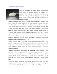 Zahărul Brun - Pagina 2