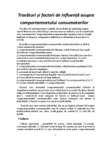 Comportamentul consumatorului - Pagina 3