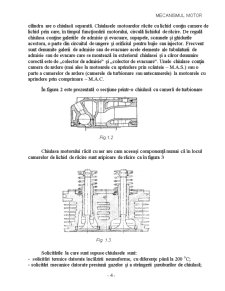 Mecanismul Motor - Pagina 4