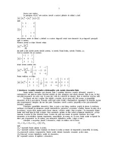 Analiza Tensiunlor și Deformațiilor prin Metoda Elementelor Finite - Pagina 3
