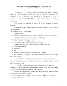 Analiza economică financiară - SC Bermas SA - Pagina 2