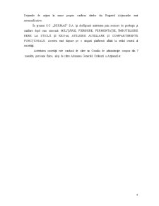 Analiza economică financiară - SC Bermas SA - Pagina 4