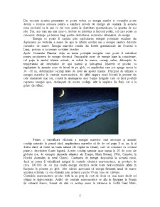 Energia gradientului de temperatură a oceanelor - Pagina 5