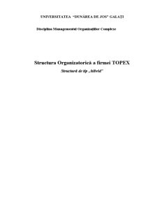 Structura organizatorică a firmei Topex - structură de tip hibrid - Pagina 1