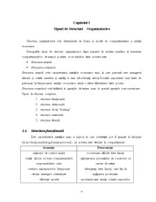 Structura organizatorică a firmei Topex - structură de tip hibrid - Pagina 4