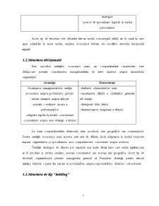 Structura organizatorică a firmei Topex - structură de tip hibrid - Pagina 5