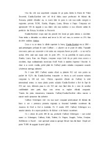 Analiza SC Excelent SA - Pagina 5