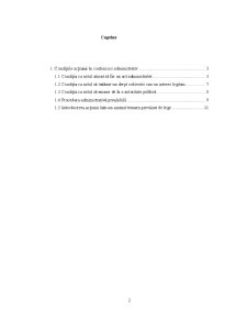 Referat Contencios Administrativ - Pagina 2