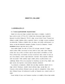 Referat Sisteme Juridice Comparate - Pagina 3
