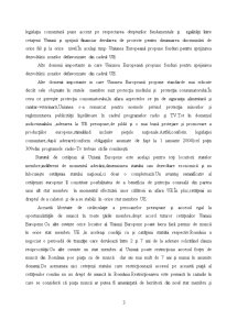 Implicațiile Aderării României la Uniunea Europeană - Pagina 3