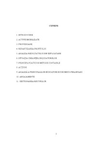 Politici și opțiuni contabile la nivelul grupurilor de societăți - SC GruzinExport SA - Pagina 2