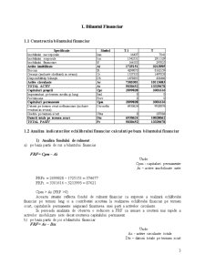 Analiza situațiilor financiare - SC Orpomi SA - Pagina 3