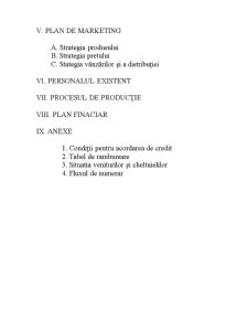 Plan de afaceri pentru firma Vogaspro - Pagina 3
