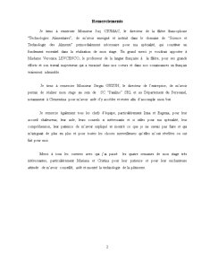 Rapport de Stage au SC Panilino SRL - Pagina 2